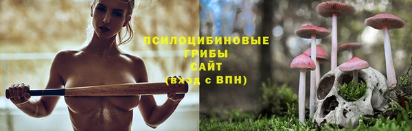 молекула духа Бугульма