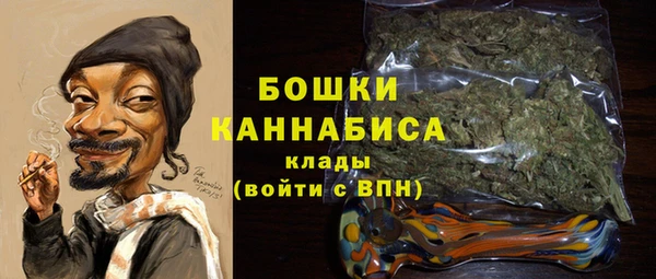 гидра Бородино